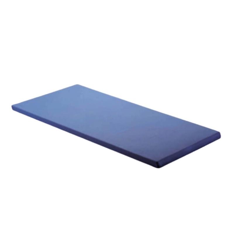 ❰免運❱ 日本 FranceBed 高彈性薄型床墊SM-28N 床墊 泡棉 電動床 床墊 服貼 輔具-細節圖4