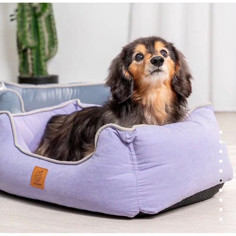❰免運❱ LIFEAPP 尊爵堡 XS 水洗墊 寵物睡墊 台灣製造 含布套 狗窩 寵物床 寵物緩壓睡墊 睡床 狗狗 貓咪-細節圖3