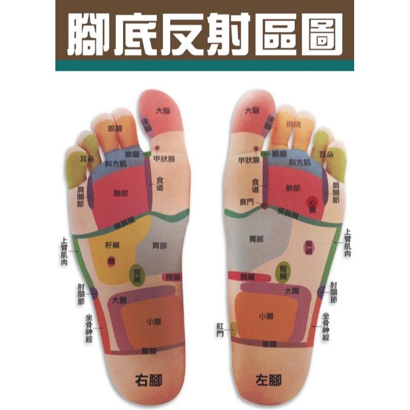 ❰免運❱ 祐奇 磁能按摩拖鞋 穴道按摩 微運動 按摩器材 健身器材 台灣製造 運動休閒 銀髮輔具 安養院 復健器材 醫院-細節圖6