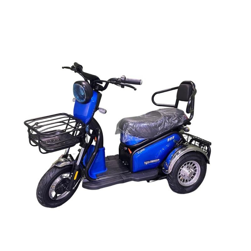 ❰免運❱ 三輪電動車 小布丁 電動三輪 電動代步車 供售後保固 大型三輪代步車 代步車 休閒三輪車-細節圖5