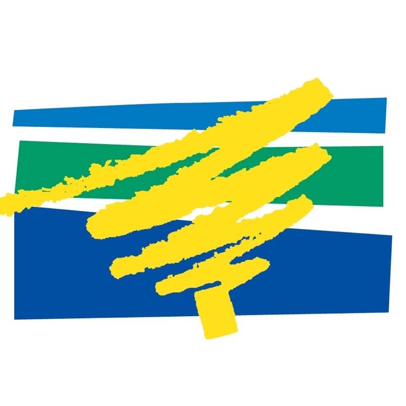 ❰免運❱ Viscolas 全足弓墊 加拿大品牌🇨🇦足弓 減壓 支持 鞋墊 實體店面-細節圖4