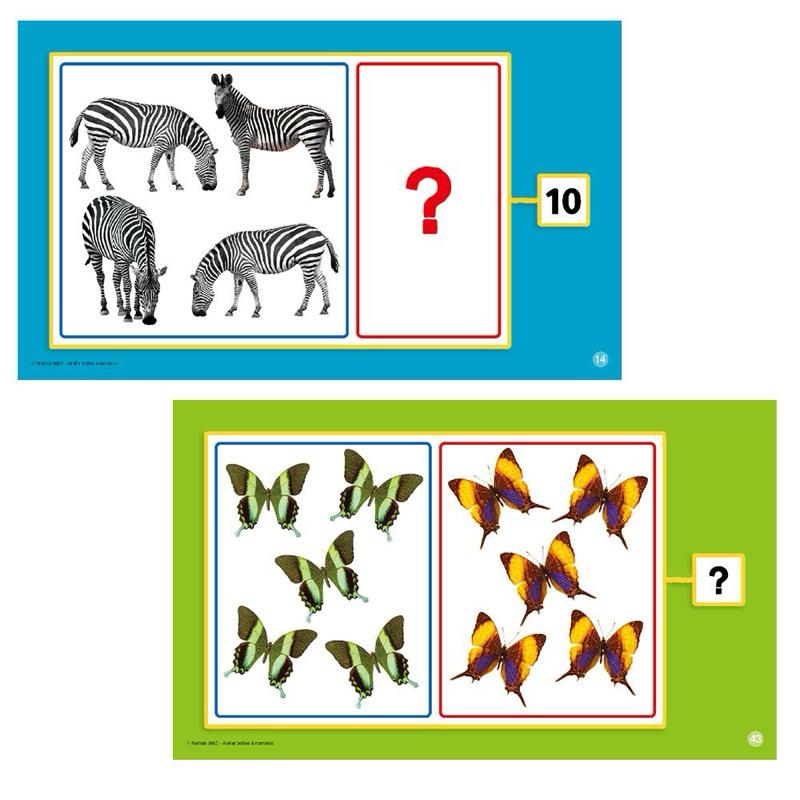 ❰免運❱ Nathan 數數運算遊戲盒 桌遊 兒童學習玩具 手眼協調訓練 益智玩具 遊戲 觸覺刺激 邏輯思考 小孩玩具-細節圖5