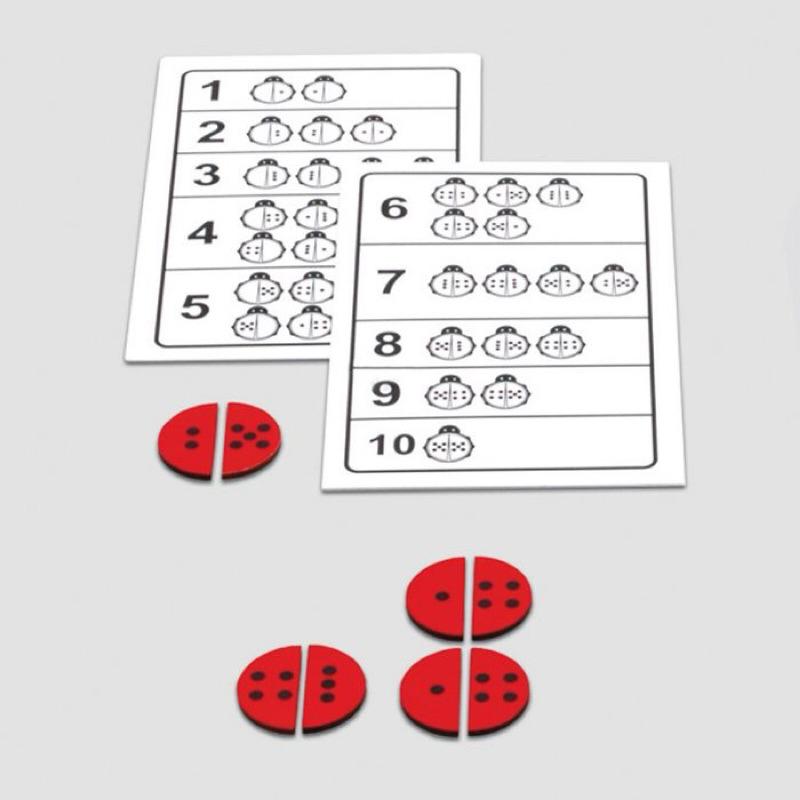 ❰免運❱ educo瓢蟲 兒童學習玩具 手眼協調訓練 益智玩具 遊戲 觸覺刺激 邏輯思考 小孩玩具 幼稚園-細節圖3