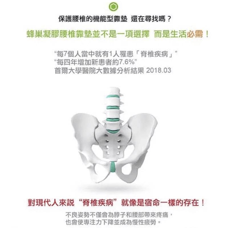 ❰免運❱ 倍力舒 Balance 蜂巢凝膠腰椎靠墊 凝膠坐墊 背靠 背墊 抗菌透氣 通用款 輕量化-細節圖2