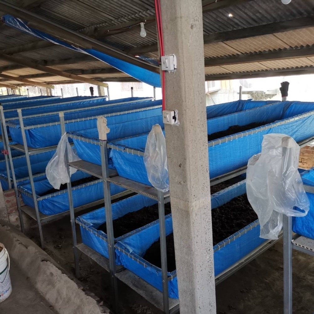 《億益蚓業》認證  種花 種菜 有機土 半顆粒狀 蚯蚓糞 蚓糞土  除臭 1公斤 新營 柳營 種水果-細節圖4