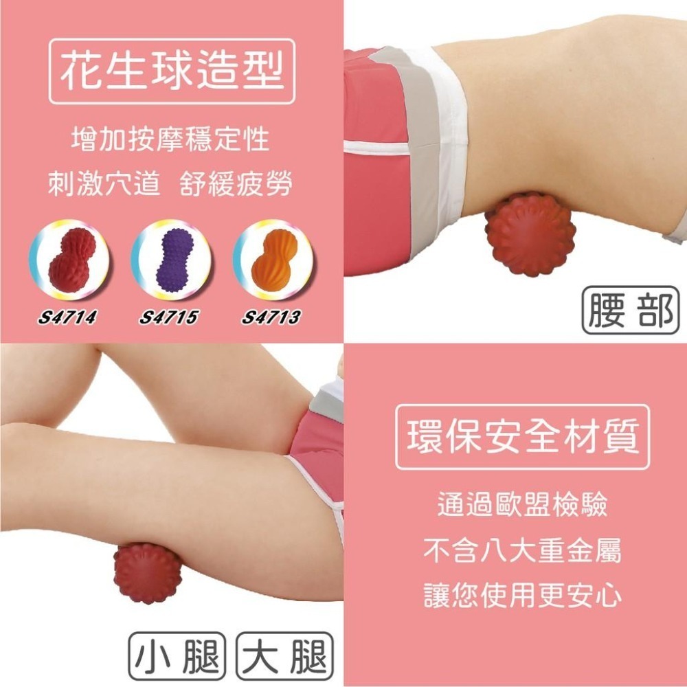 按摩球 筋膜球   S4715 S4740  花生米粒球 SGS檢驗合格 瑜伽按摩球 健身-細節圖3