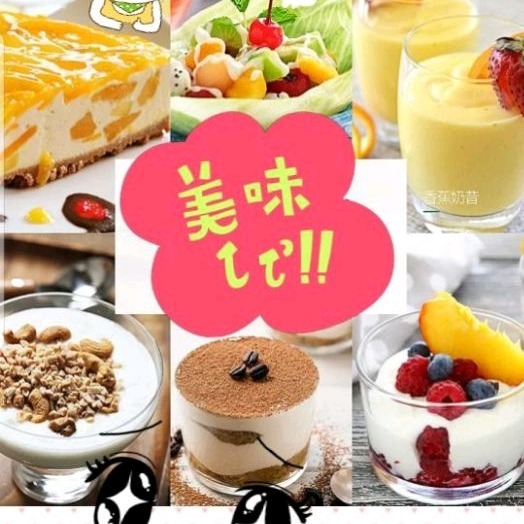 台灣現貨保固 酸奶機 優格機 納豆機  自製優格 優酪乳 納豆 寵物溫水機-細節圖7