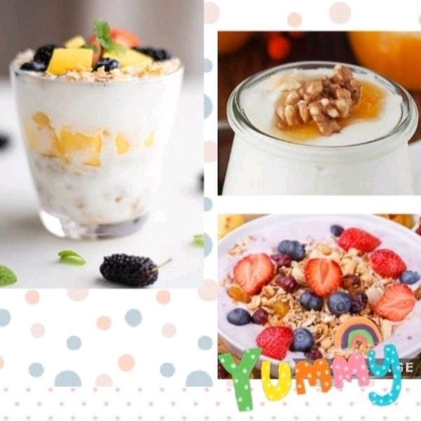 台灣現貨保固 酸奶機 優格機 納豆機  自製優格 優酪乳 納豆 寵物溫水機-細節圖9