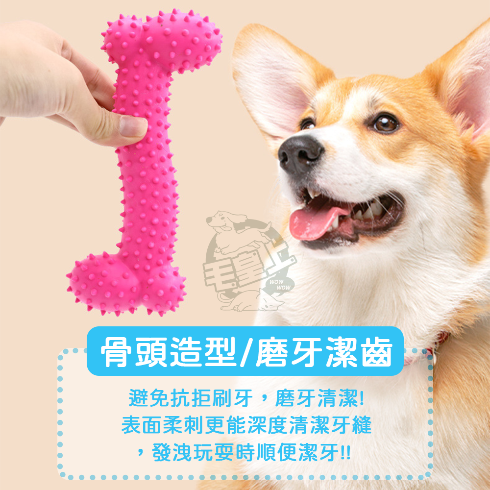【毛皇上】橡膠磨牙骨頭造型 橡膠骨頭 帶刺骨頭 橡膠玩具 狗狗磨牙 狗狗玩具-細節圖3