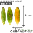 【台灣出貨】❤寵物發聲玩具 仿真發聲玩具 絨毛發聲玩具 會啾啾的玩具 啾啾聲 狗狗玩具【WOWWOW】-規格圖9