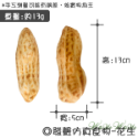 【台灣出貨】❤寵物發聲玩具 仿真發聲玩具 絨毛發聲玩具 會啾啾的玩具 啾啾聲 狗狗玩具【WOWWOW】-規格圖9