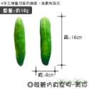 【台灣出貨】❤寵物發聲玩具 仿真發聲玩具 絨毛發聲玩具 會啾啾的玩具 啾啾聲 狗狗玩具【WOWWOW】-規格圖9