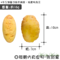 【台灣出貨】❤寵物發聲玩具 仿真發聲玩具 絨毛發聲玩具 會啾啾的玩具 啾啾聲 狗狗玩具【WOWWOW】-規格圖9