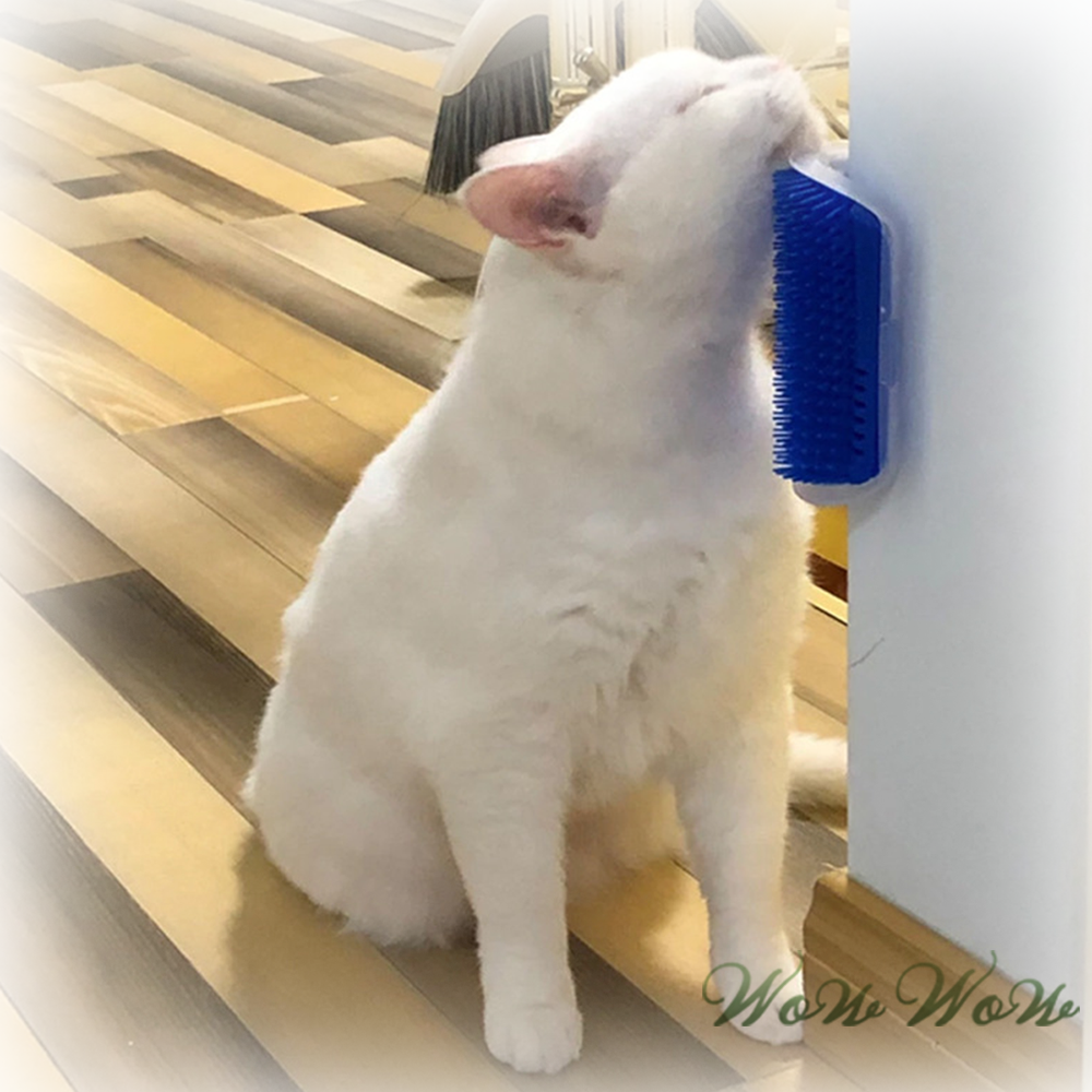 【毛皇上】❤寵物用品 貓牆腳蹭毛刷 貓咪蹭蹭刷 除毛梳 牆角梳 按摩梳 寵物梳-細節圖9