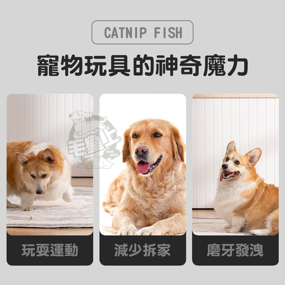 【毛皇上】帶刺槓鈴14cm 鈴鐺小刺球 帶刺骨頭 橡膠玩具 狗狗磨牙 狗狗玩具-細節圖2