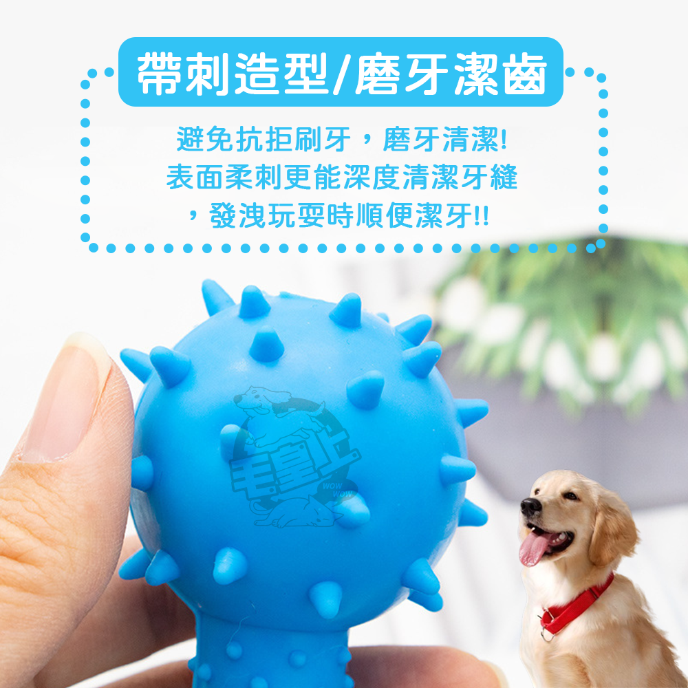 【毛皇上】帶刺槓鈴14cm 鈴鐺小刺球 帶刺骨頭 橡膠玩具 狗狗磨牙 狗狗玩具-細節圖4