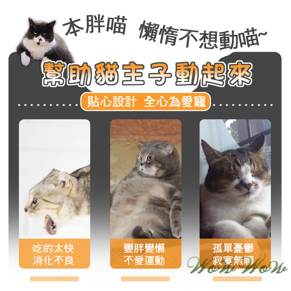 【挑戰最低價】❤寵物玩具 實木彈簧漏食球 實木底座 彈簧 透明漏食球 轉盤玩具 漏食玩具 貓咪玩具 【WOWWOW】-細節圖2