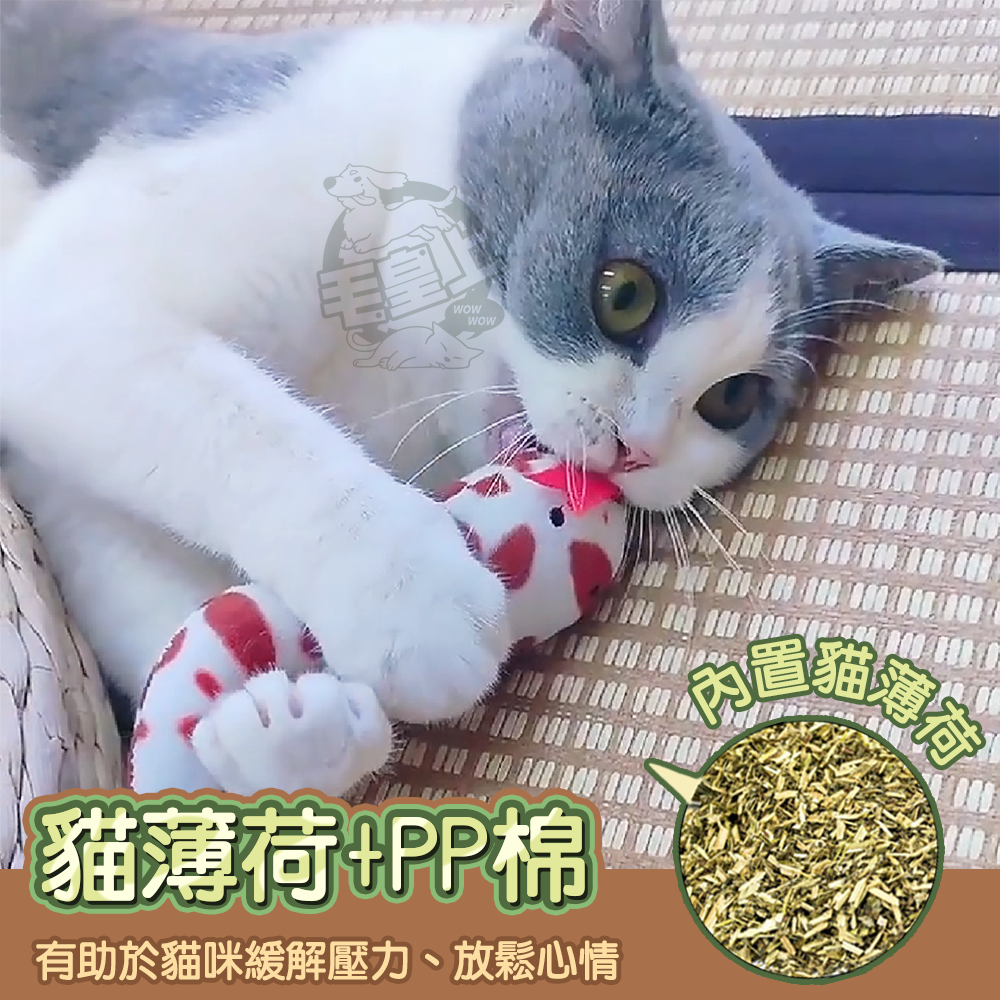 【毛皇上】貪食蛇 貓薄荷毛絨蛇 毛絨蛇 貓草蛇 逗貓玩具 磨牙玩具 絨毛玩具 貓玩具-細節圖3
