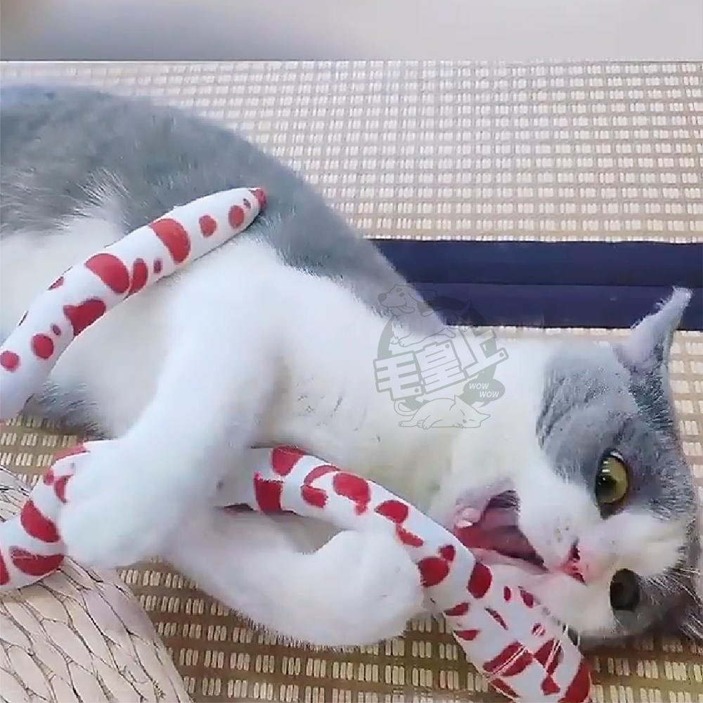 【毛皇上】貪食蛇 貓薄荷毛絨蛇 毛絨蛇 貓草蛇 逗貓玩具 磨牙玩具 絨毛玩具 貓玩具-細節圖5