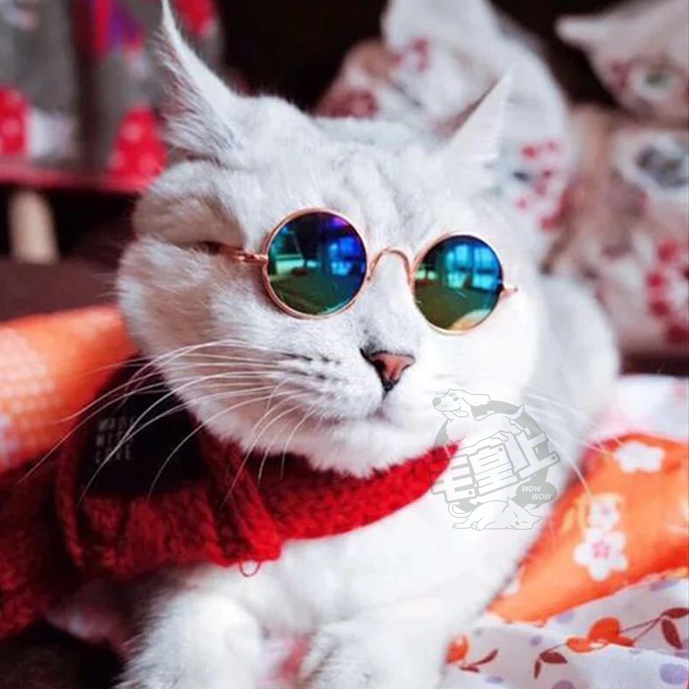 【毛皇上】小墨鏡 寵物墨鏡 圓框眼鏡 潮流眼鏡 拍照道具 寵物飾品 貓狗眼鏡-細節圖4