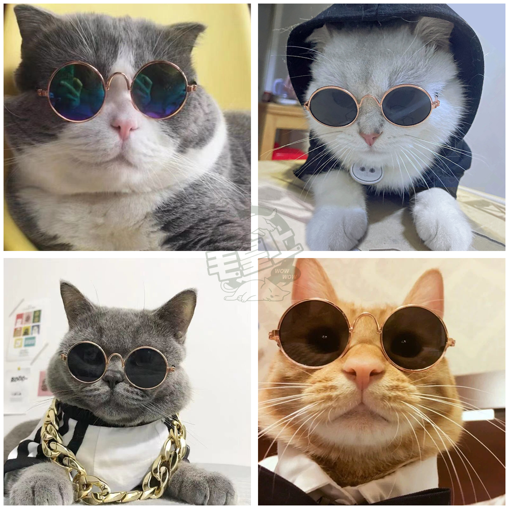 【毛皇上】小墨鏡 寵物墨鏡 圓框眼鏡 潮流眼鏡 拍照道具 寵物飾品 貓狗眼鏡-細節圖8
