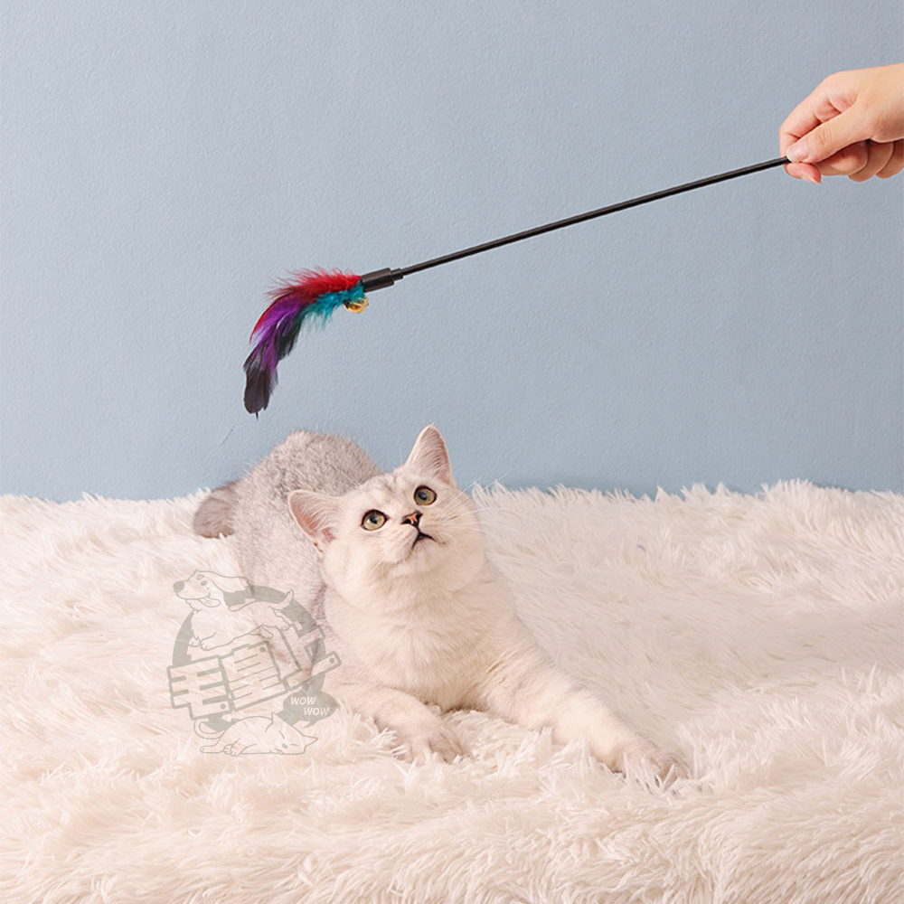 【毛皇上】彩色羽毛逗貓棒 65CM加長款 逗貓棒 羽毛逗貓棒 貓玩具 逗貓 貓咪玩具-細節圖5