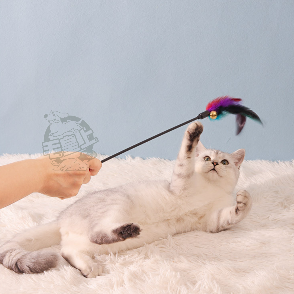 【毛皇上】彩色羽毛逗貓棒 65CM加長款 逗貓棒 羽毛逗貓棒 貓玩具 逗貓 貓咪玩具-細節圖6