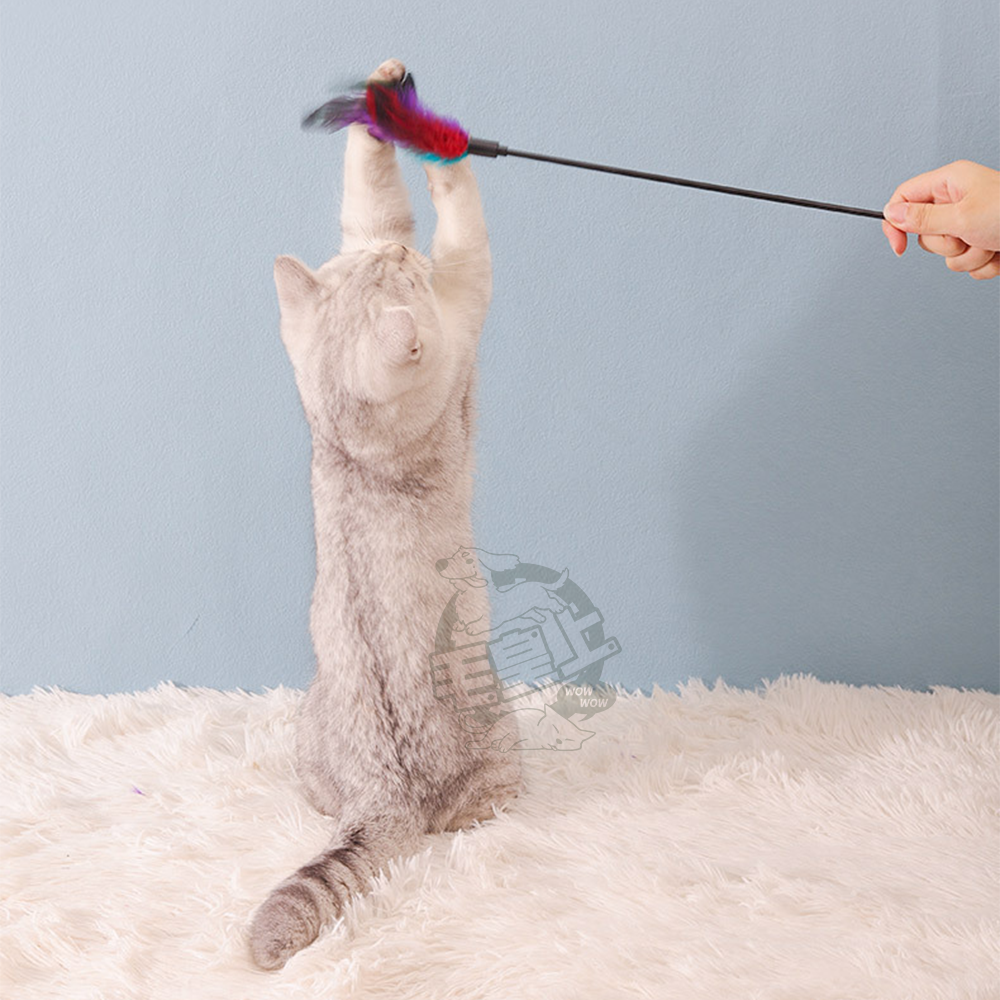 【毛皇上】彩色羽毛逗貓棒 65CM加長款 逗貓棒 羽毛逗貓棒 貓玩具 逗貓 貓咪玩具-細節圖7