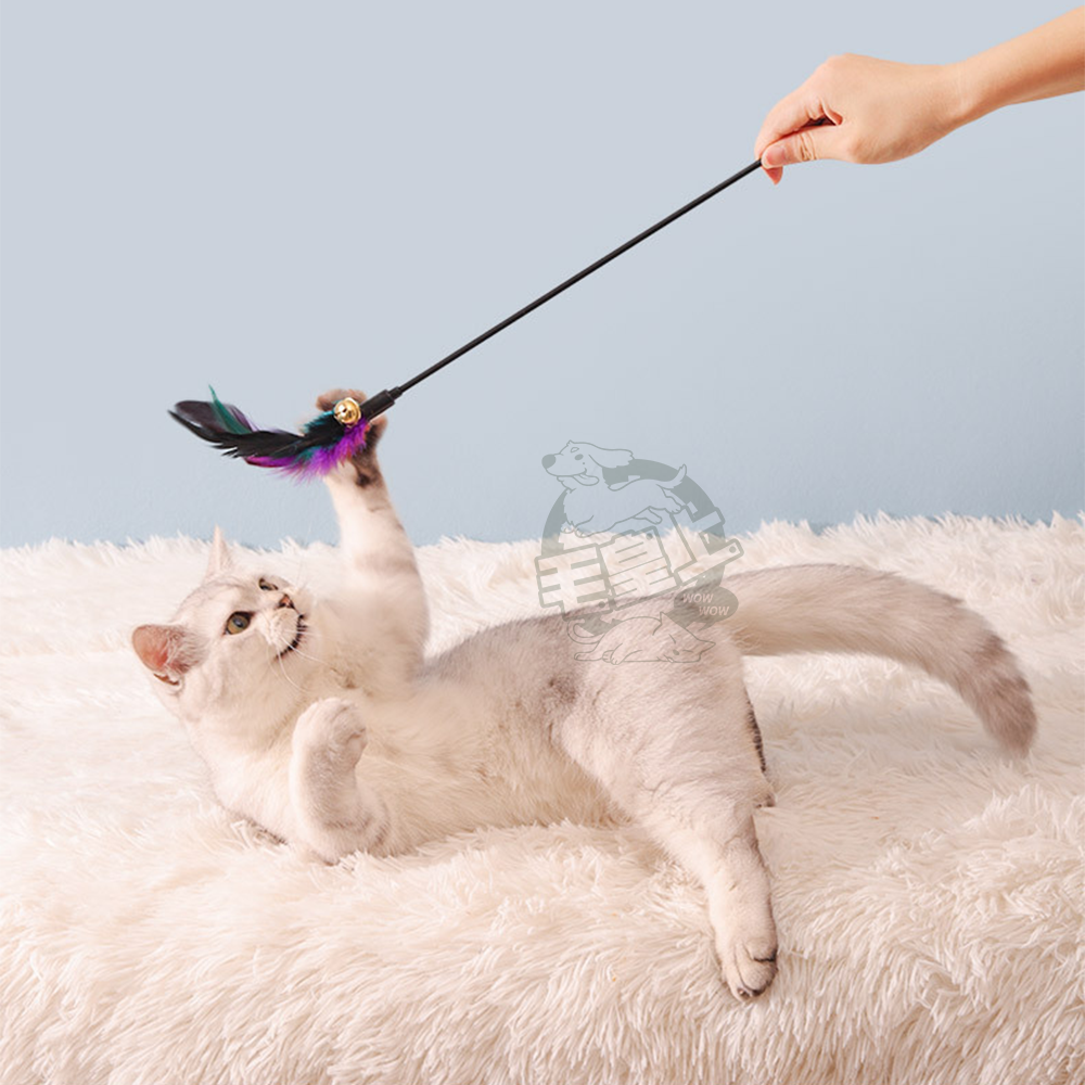 【毛皇上】彩色羽毛逗貓棒 65CM加長款 逗貓棒 羽毛逗貓棒 貓玩具 逗貓 貓咪玩具-細節圖8