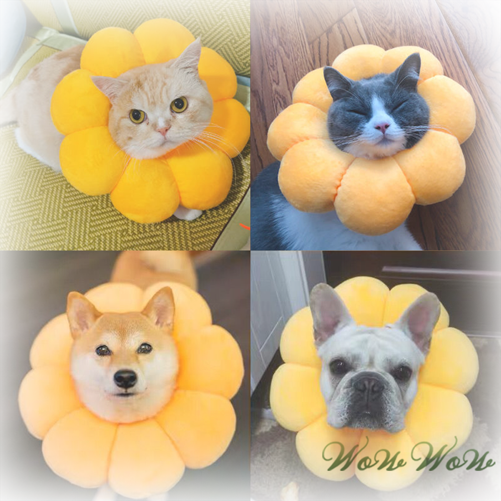 【毛皇上】❤寵物用品 伊莉莎白圈太陽花 防舔圈 可調節 絕育防護 羞恥圈 寵物頭套-細節圖8