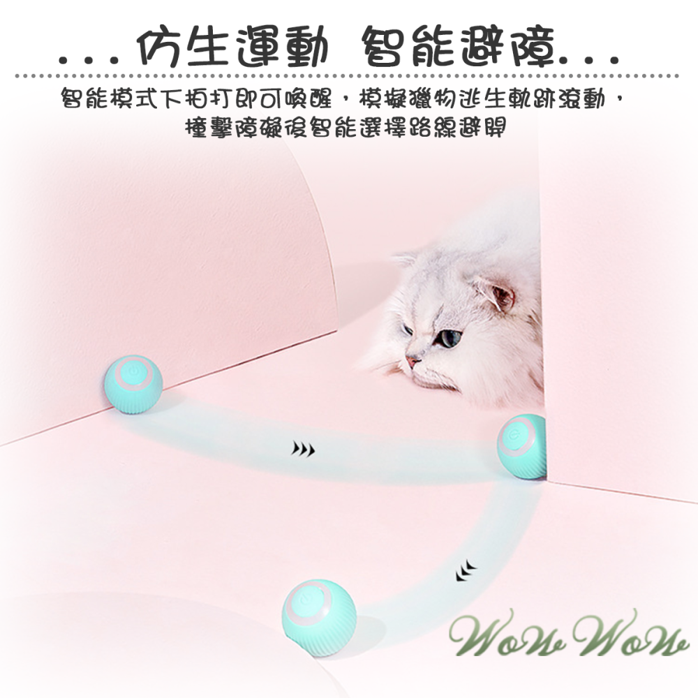 【台灣出貨】❤寵物玩具 電動逗貓球 智能滾滾球 自動逗貓球 逗貓玩具 貓玩具 安靜 寵物玩具球 【WOWWOW】-細節圖5