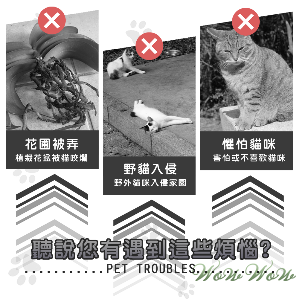 【毛皇上】防貓刺墊 透明款 可拼接 自由裁剪 防貓刺網 不傷寵物 驅貓神器 防護網-細節圖2