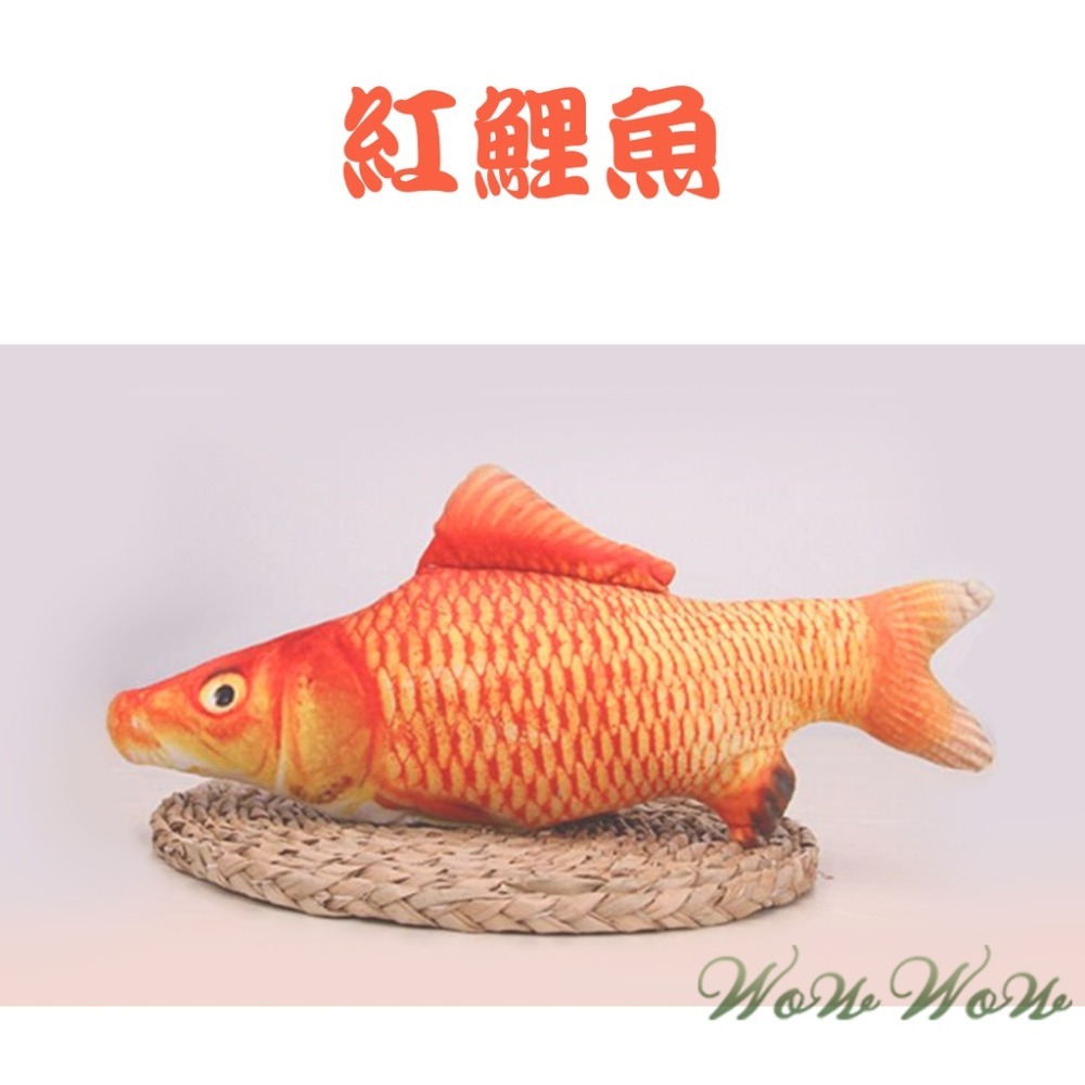 【台灣出貨】❤寵物玩具(30CM)仿真魚 貓玩具 拉鍊式含貓薄荷 貓抱枕 貓草魚 貓咪玩具 寵物玩具【WOWWOW】-細節圖6