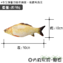 鯽魚