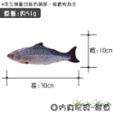 鮭魚