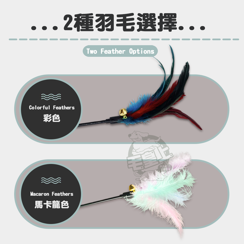 【毛皇上】羽毛逗貓棒 50CM 彩色/馬卡龍色 逗貓棒 貓玩具 逗貓 貓咪玩具-細節圖3