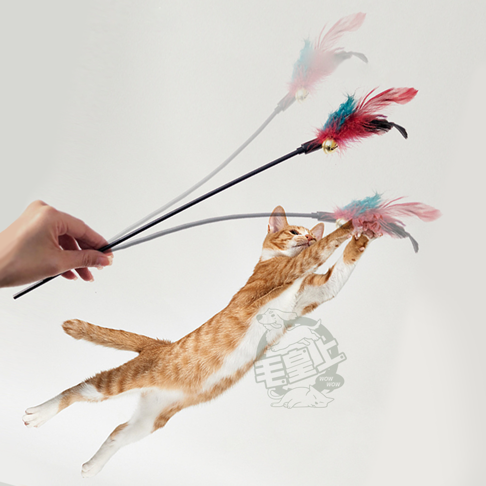 【毛皇上】羽毛逗貓棒 50CM 彩色/馬卡龍色 逗貓棒 貓玩具 逗貓 貓咪玩具-細節圖6