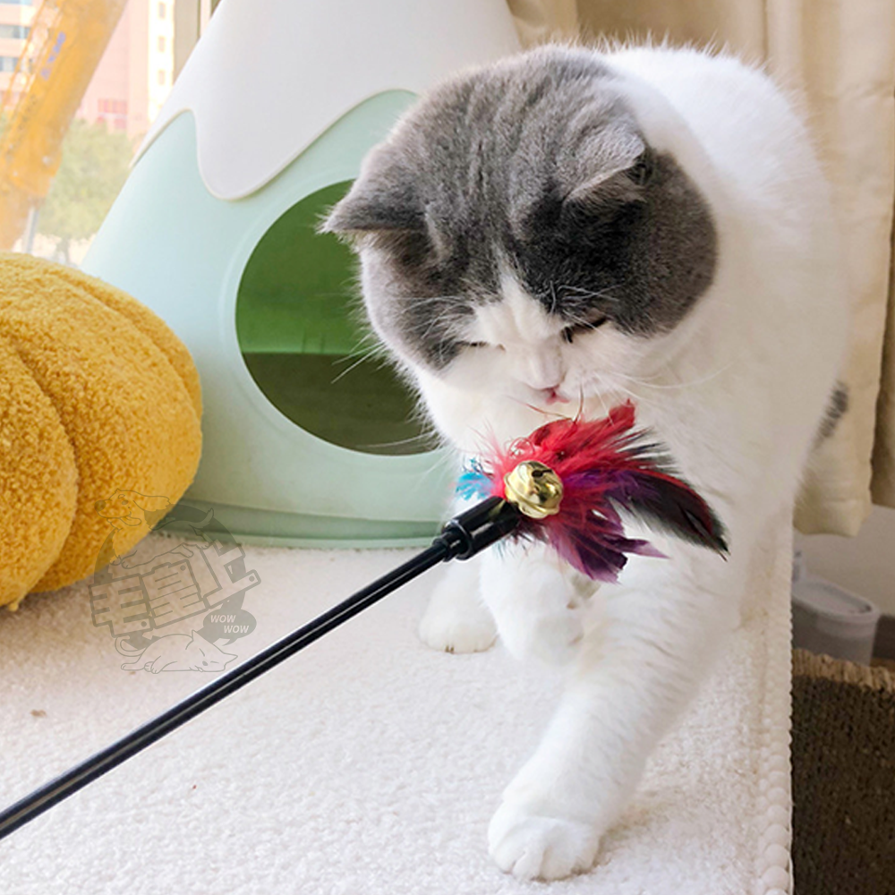 【毛皇上】羽毛逗貓棒 50CM 彩色/馬卡龍色 逗貓棒 貓玩具 逗貓 貓咪玩具-細節圖7