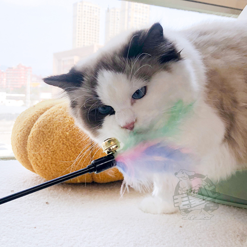 【毛皇上】羽毛逗貓棒 50CM 彩色/馬卡龍色 逗貓棒 貓玩具 逗貓 貓咪玩具-細節圖8