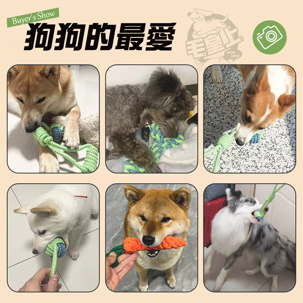 【台灣出貨】❤寵物玩具 棉繩玩具 啃咬玩具 寵物互動玩具 狗狗耐咬玩具  貓咪玩具 狗狗玩具【WOWWOW】-細節圖7