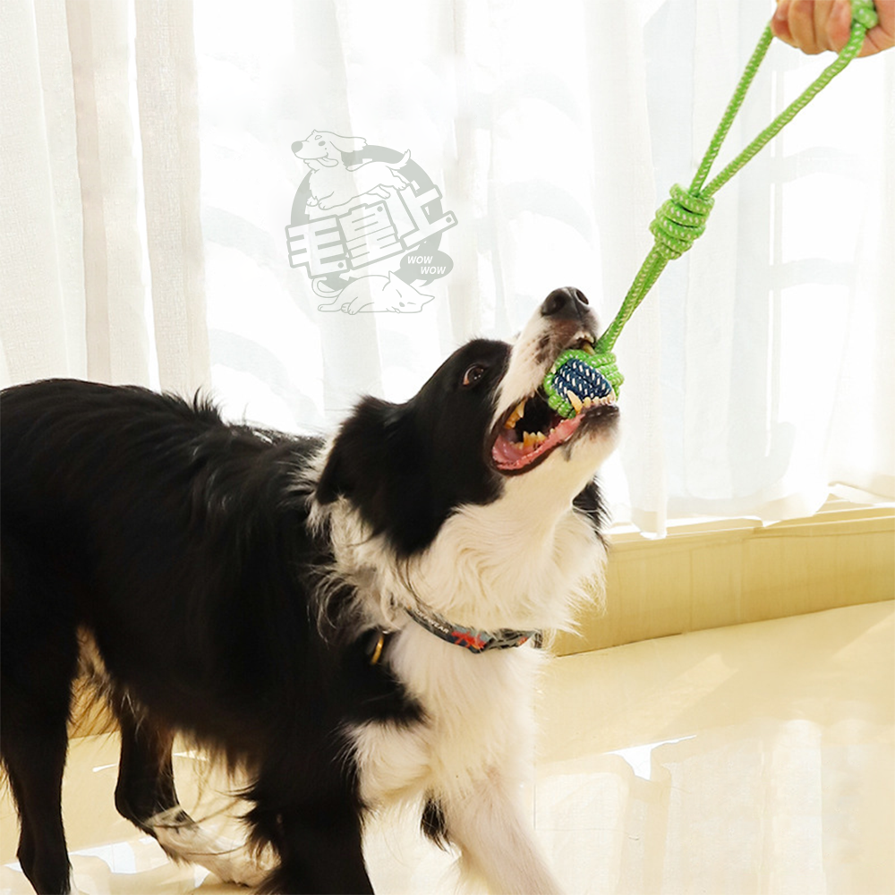 【台灣出貨】❤寵物玩具 棉繩玩具 啃咬玩具 寵物互動玩具 狗狗耐咬玩具  貓咪玩具 狗狗玩具【WOWWOW】-細節圖8