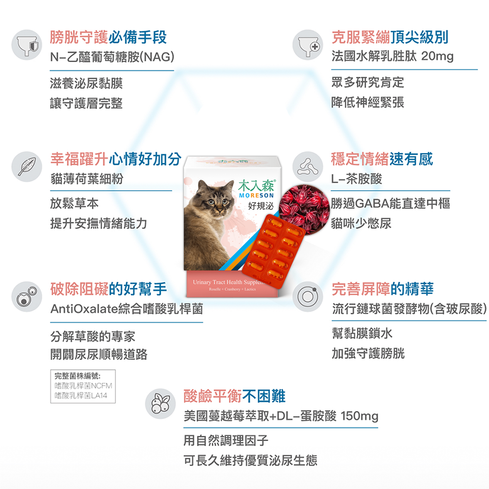 【盒裝賣場】❤貓保健食品 木入森 貓咪保健品 貓咪系列 好規泌 護疫升 排毛粉 膚立好 活菌寶 寵物食品【WOWWOW】-細節圖2