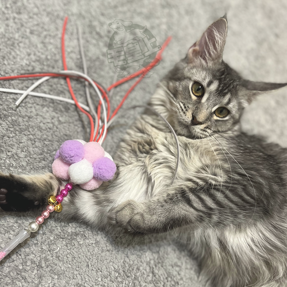 【毛皇上】仙女逗貓棒 流蘇逗貓棒 造型逗貓棒 貓玩具 逗貓棒 逗貓 貓咪玩具-細節圖8