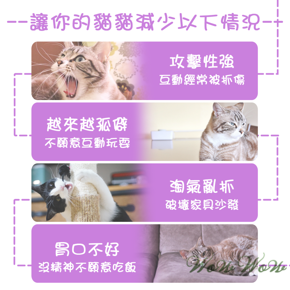 【台灣出貨】❤寵物玩具 仙女逗貓棒 流蘇逗貓棒 造型逗貓棒 貓玩具 逗貓球 逗貓 貓咪玩具【WOWWOW】-細節圖2