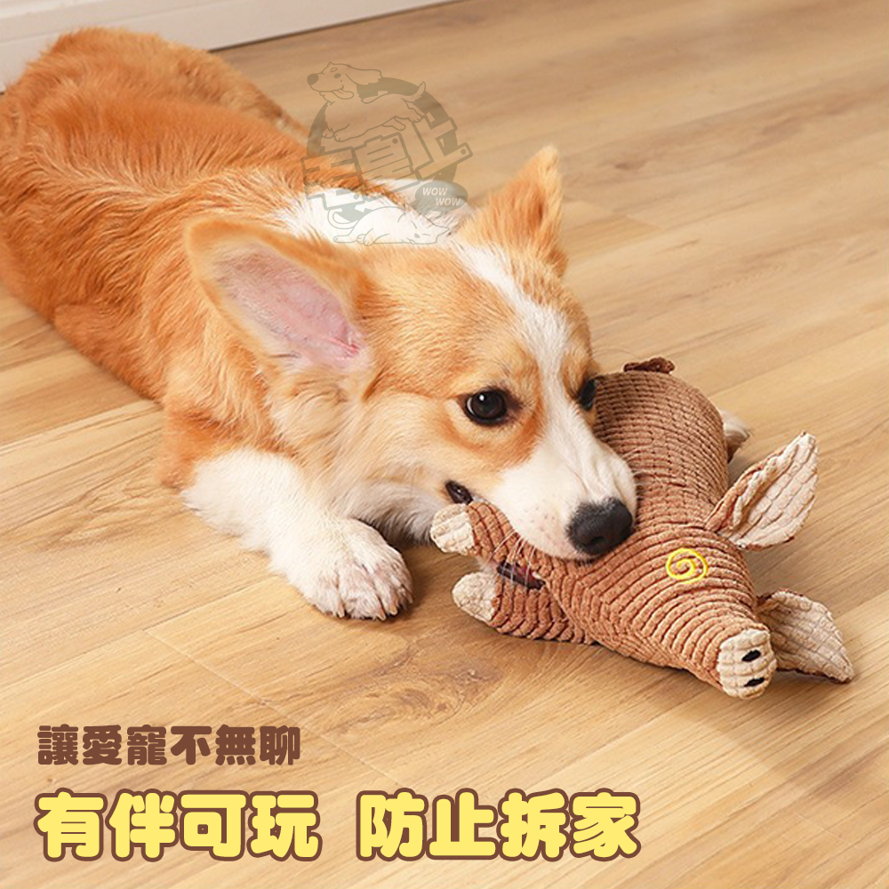 【毛皇上】發聲毛絨豬 加厚玉米絨 毛絨玩具 發聲玩具 啾啾聲 狗狗玩具-細節圖2