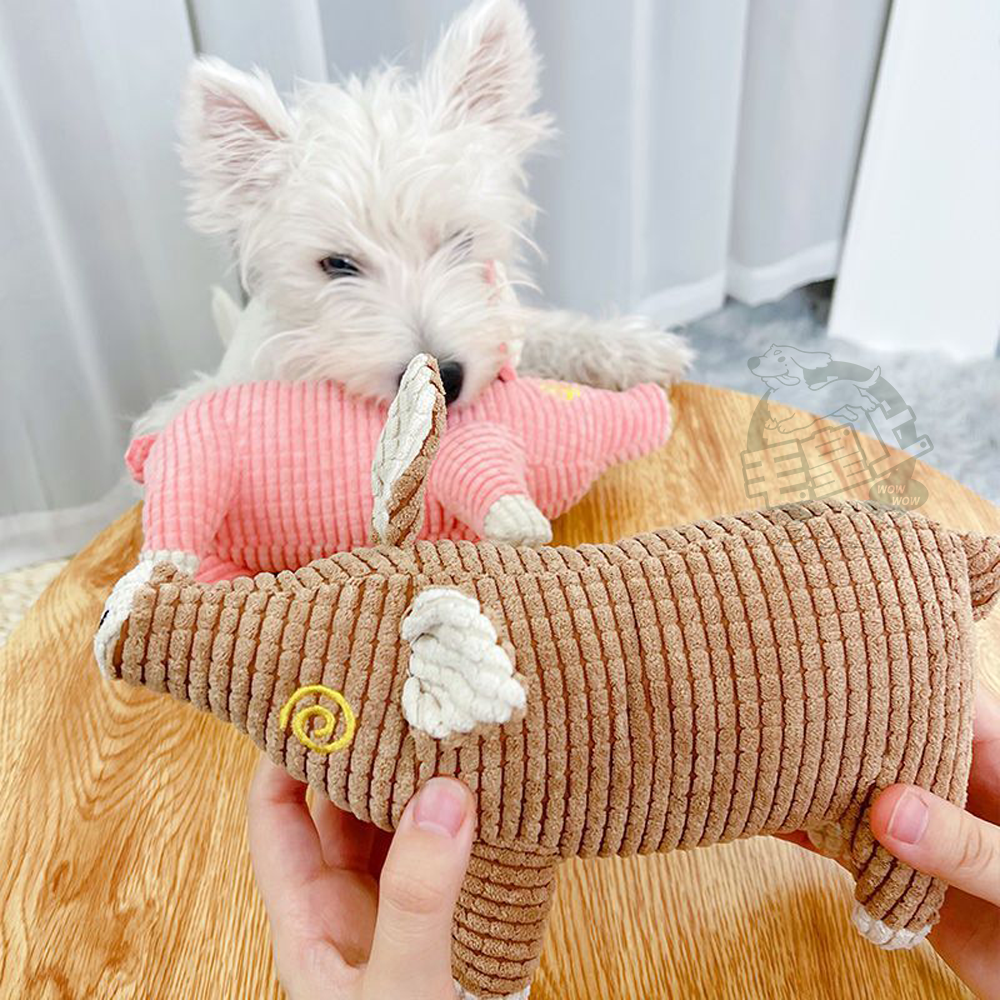 【毛皇上】發聲毛絨豬 加厚玉米絨 毛絨玩具 發聲玩具 啾啾聲 狗狗玩具-細節圖5