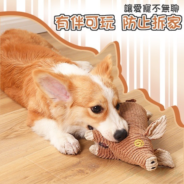 【台灣出貨】❤寵物發聲玩具 加厚玉米絨豬豬發聲玩具 玉米絨加厚耐咬 會啾啾的玩具 啾啾聲 狗狗玩具【WOWWOW】-細節圖2