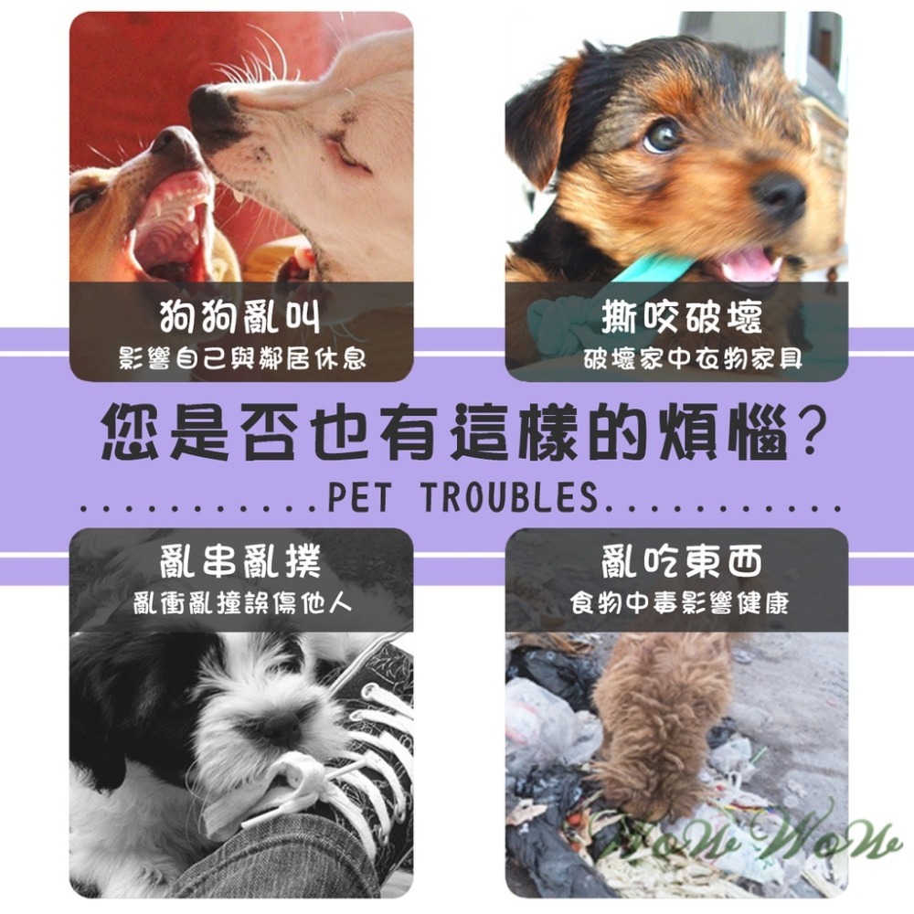 【台灣出貨】❤寵物用品 寵物愛心拍 訓狗棒 訓犬棒 愛的小手 訓犬鞭 訓導拍 關愛拍 寵物訓狗 狗訓練 【WOWWOW】-細節圖2