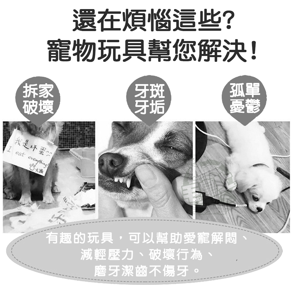 【毛皇上】馬卡龍狗玩具 TPR玩具 發聲玩具 狗狗玩具 磨牙玩具 橡膠玩具 馬卡龍色系-細節圖2