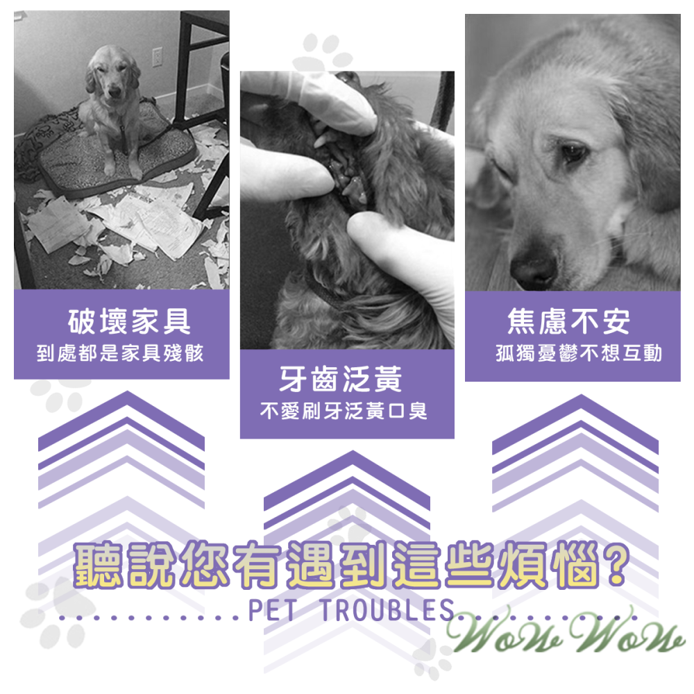 【台灣出貨】❤寵物玩具 動物造型玉米絨 磨牙玩具 耐磨耐咬 毛絨玩具 發聲玩具 啃咬玩具 狗狗玩具【WOWWOW】-細節圖2